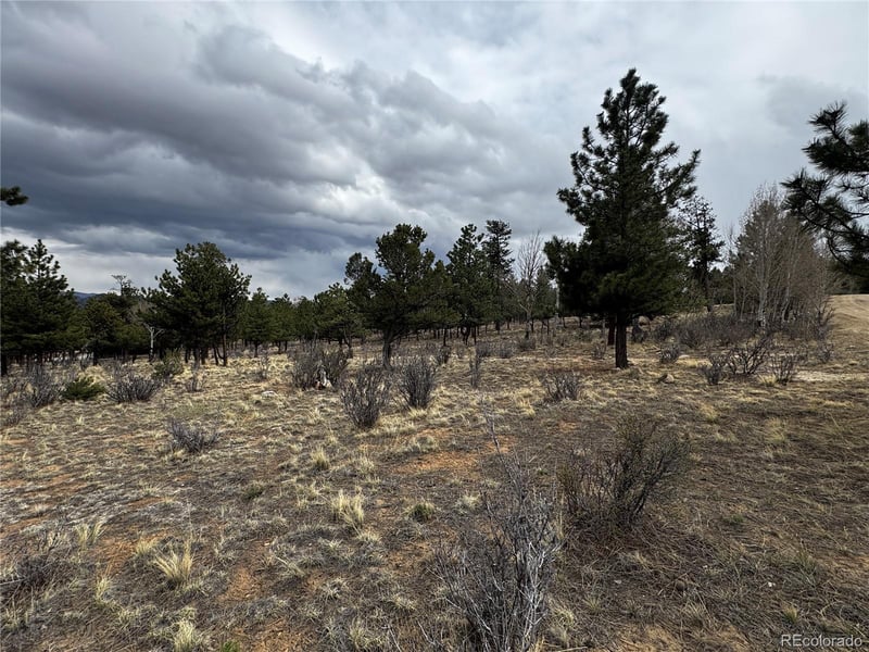 30583 Timberline Dr, Buena Vista, CO 81211