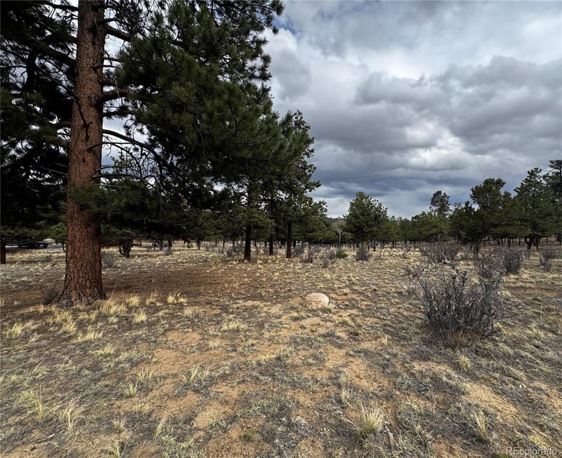 30583 Timberline Dr, Buena Vista, CO 81211