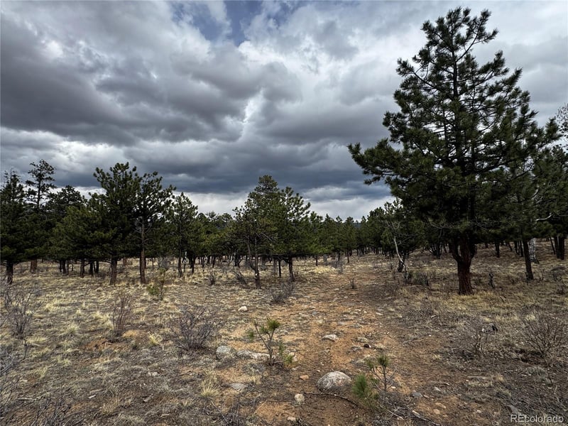 30583 Timberline Dr, Buena Vista, CO 81211