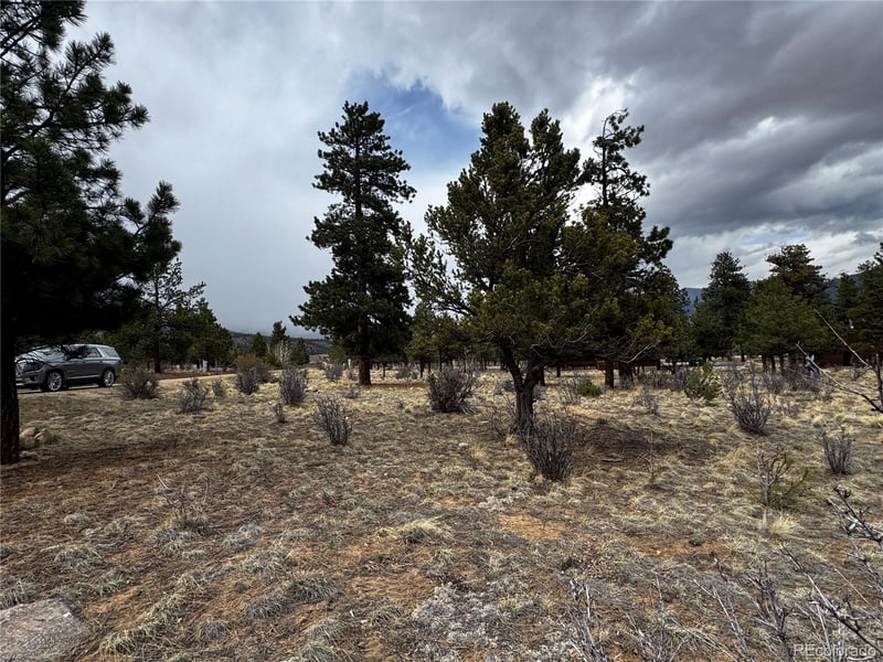 30583 Timberline Dr, Buena Vista, CO 81211