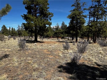 30583 Timberline Dr, Buena Vista, CO 81211