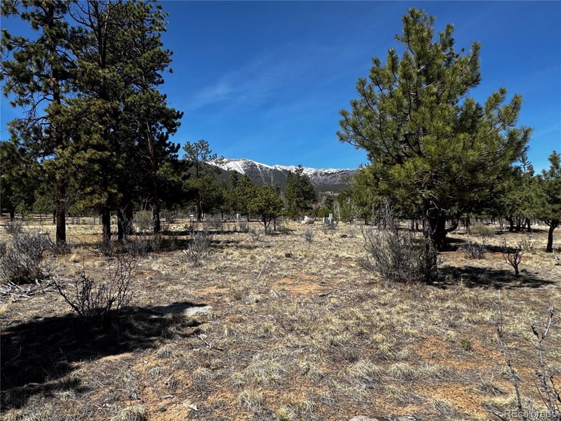 30583 Timberline Dr Lot 17, Buena Vista, CO 81211