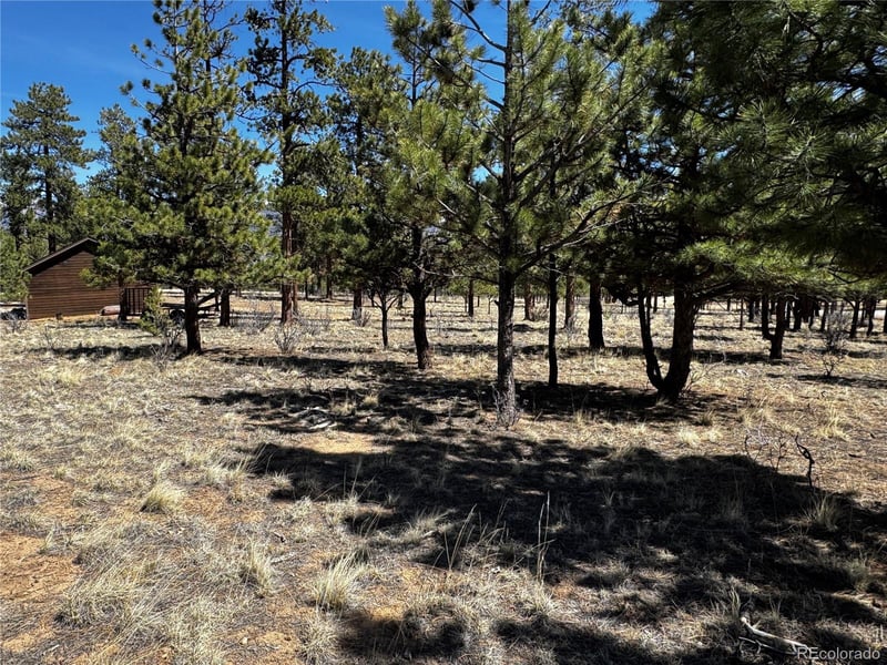 30583 Timberline Dr Lot 17, Buena Vista, CO 81211