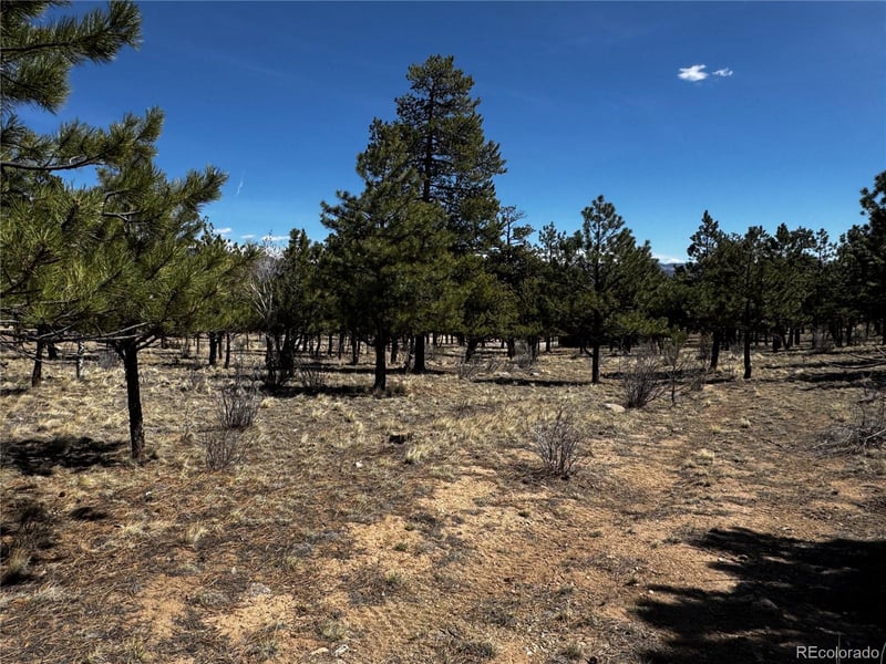 30583 Timberline Dr Lot 17, Buena Vista, CO 81211