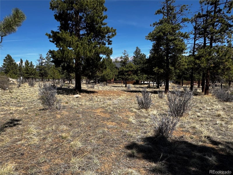 30583 Timberline Dr Lot 17, Buena Vista, CO 81211