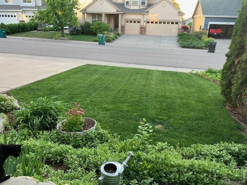 8106 Northstar Dr, Windsor, CO 80528