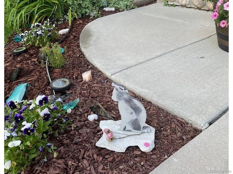 8106 Northstar Dr, Windsor, CO 80528