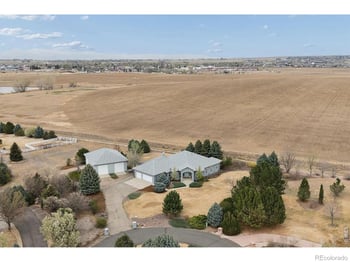 107 Blue Heron Ct, Mead, CO 80542