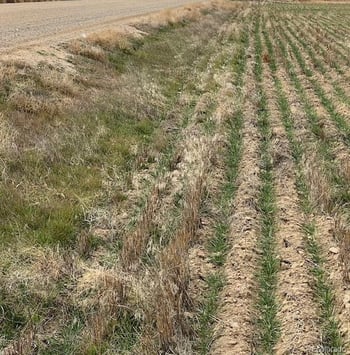 Tbd County Road 19, Fort Lupton, CO 80621