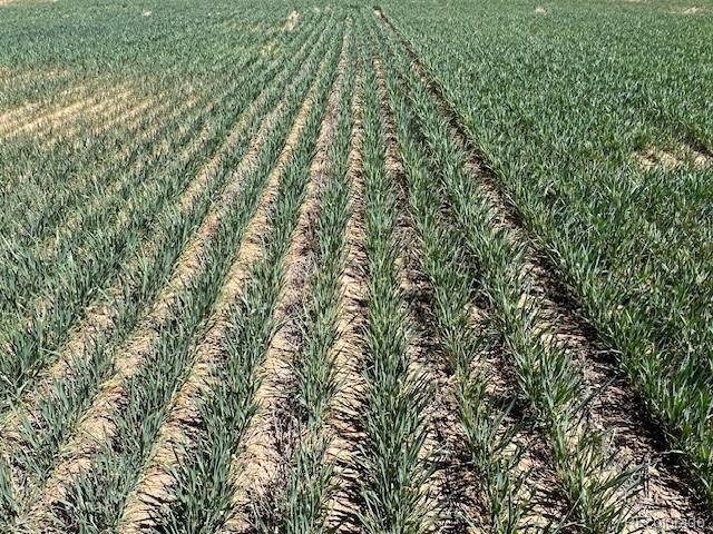 Tbd County Road 19, Fort Lupton, CO 80621