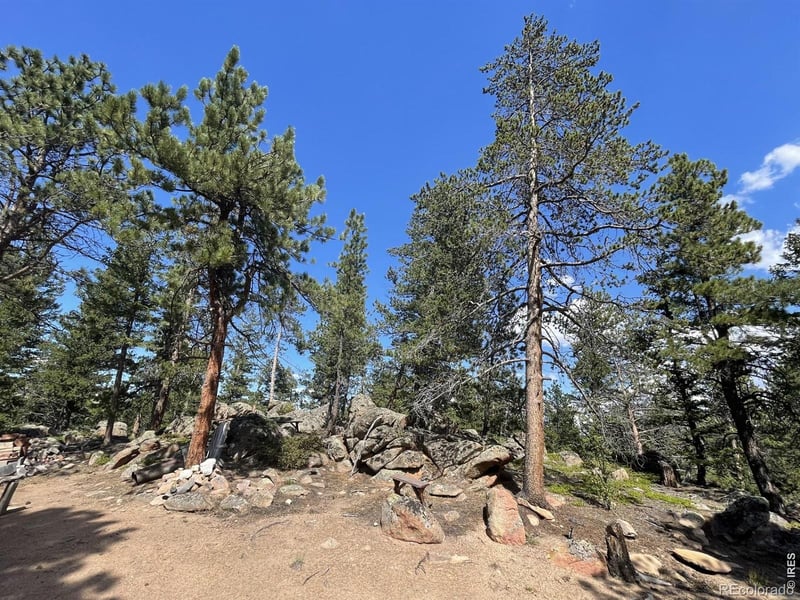 34 Shawnee Rd, Red Feather Lakes, CO 80545