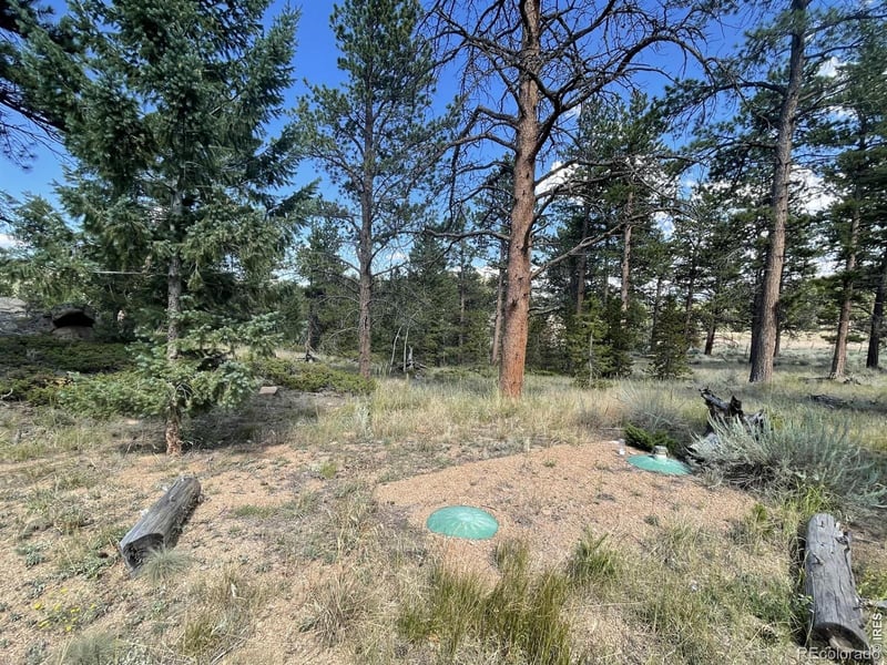 34 Shawnee Rd, Red Feather Lakes, CO 80545