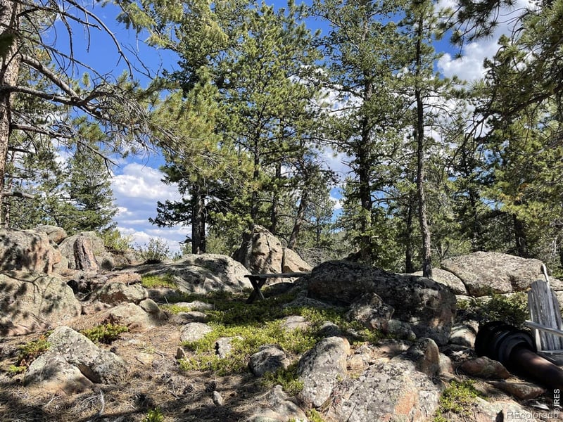 34 Shawnee Rd, Red Feather Lakes, CO 80545