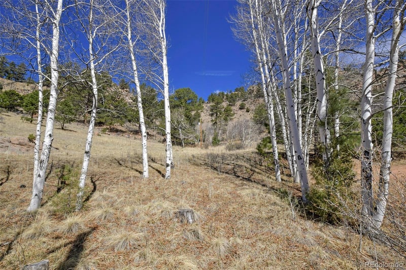 221 Floresta , Florissant, CO 80816