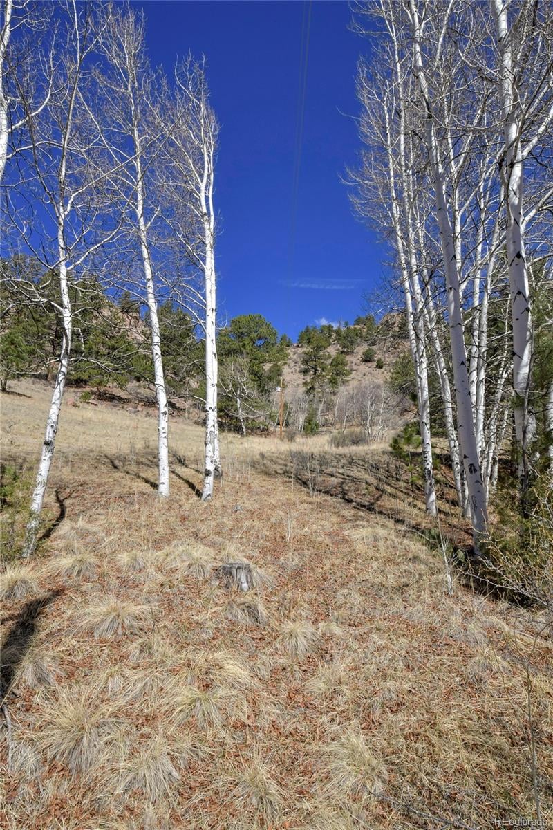 221 Floresta , Florissant, CO 80816