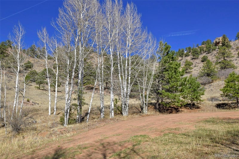 221 Floresta , Florissant, CO 80816