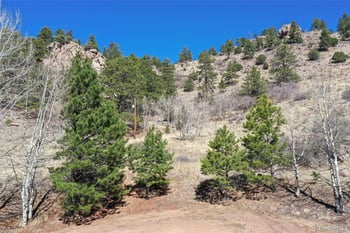 221 Floresta , Florissant, CO 80816