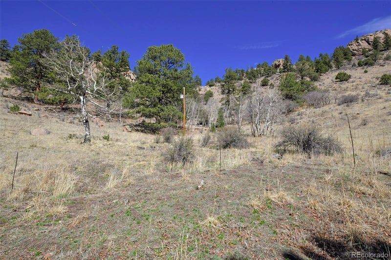 221 Floresta Lot L9, Florissant, CO 80816
