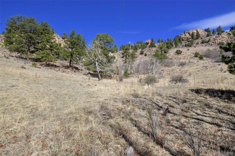 221 Floresta Lot L9, Florissant, CO 80816