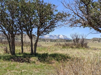 Majors Ranch Lot 31 B, Walsenburg, CO 81089