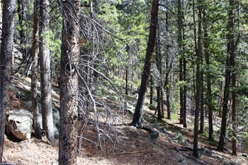 4-2 Lamertine Rd, Idaho Springs, CO 80452