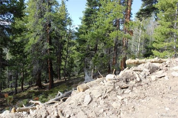 4-1 Lamertine Rd, Idaho Springs, CO 80452