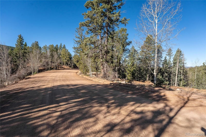 565 Fairview Dr, Woodland Park, CO 80863