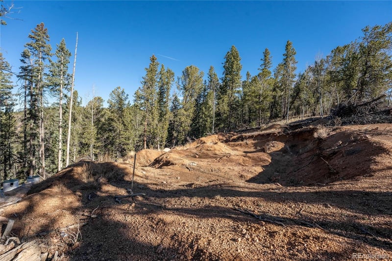 565 Fairview Dr, Woodland Park, CO 80863