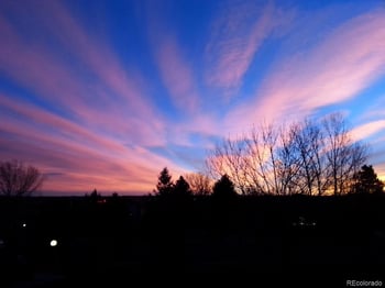 6839 Webster St #C, Littleton, CO 80128