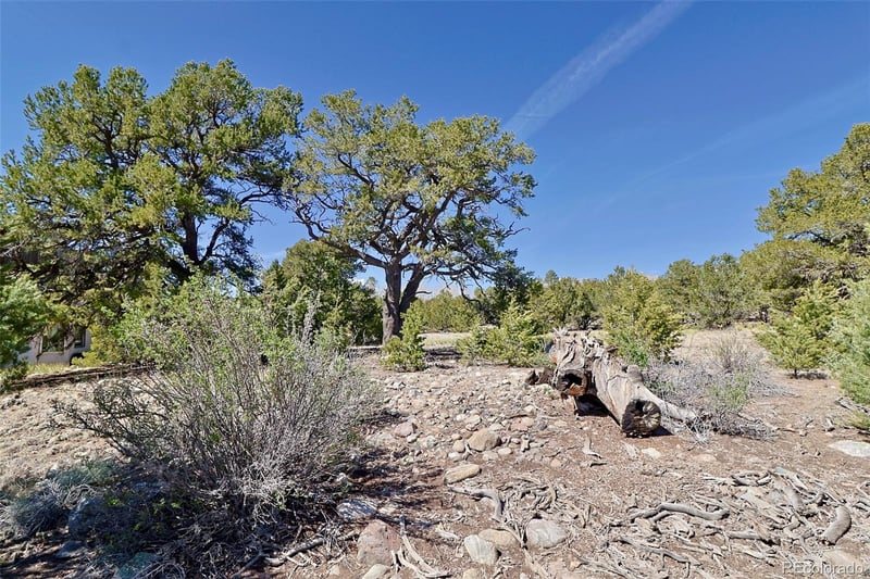 3921 Cordial Way, Crestone, CO 81131