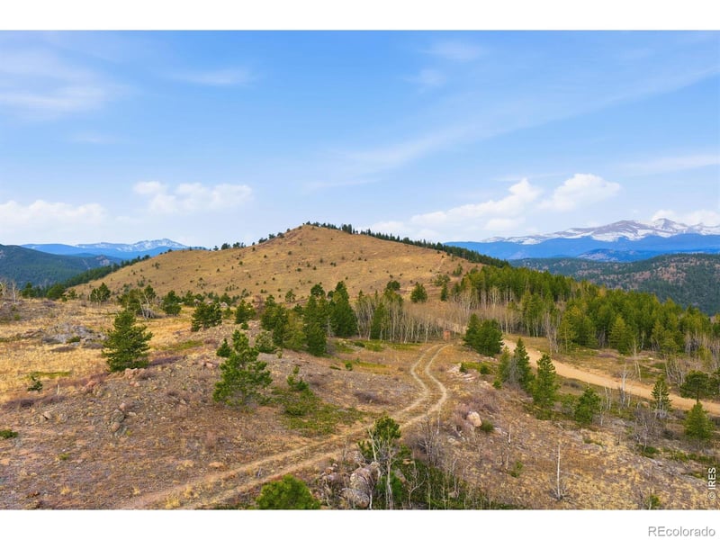 5260 Ridge Rd, Nederland, CO 80466