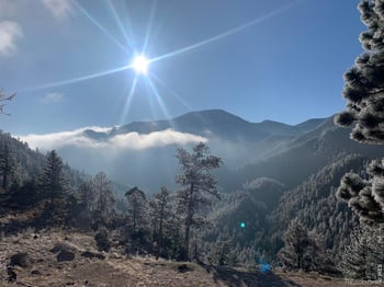 1006 Kneale Rd, Eldorado Springs, CO 80025