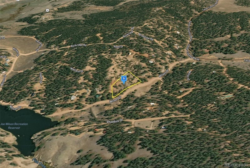 228 Wilson Dr, Florissant, CO 80816