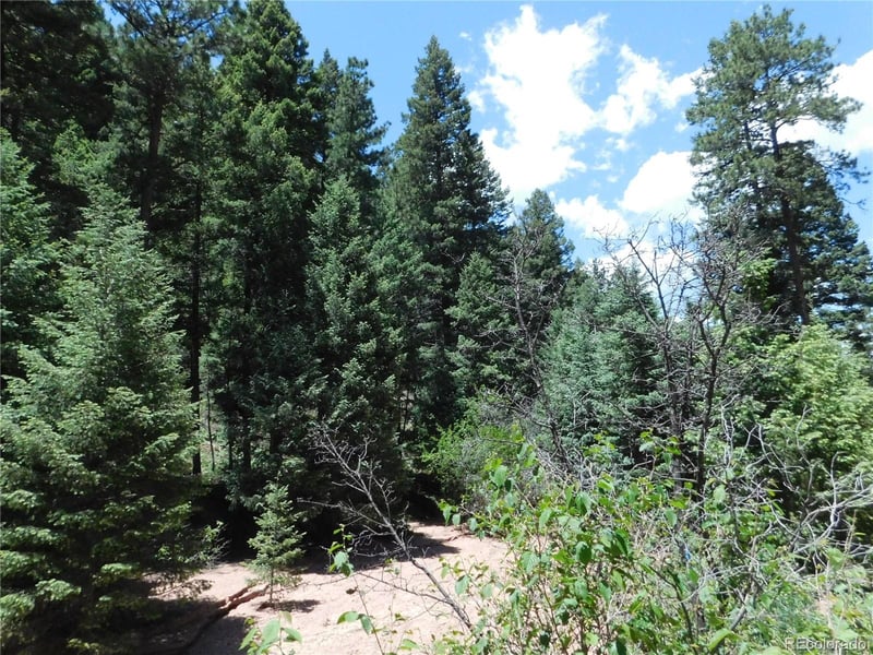 13175 Spruce Creek Cir, Larkspur, CO 80118