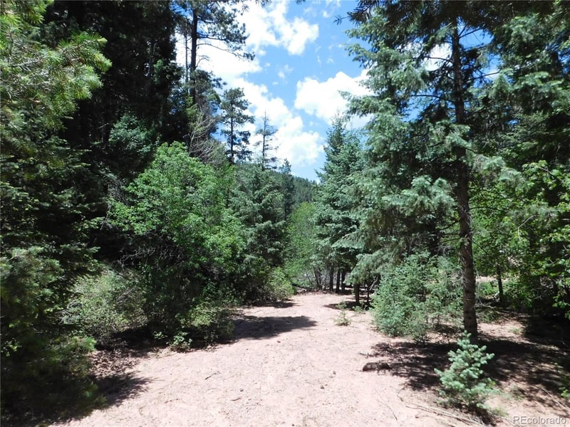 13175 Spruce Creek Cir, Larkspur, CO 80118