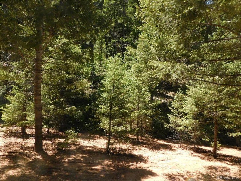 13175 Spruce Creek Cir, Larkspur, CO 80118