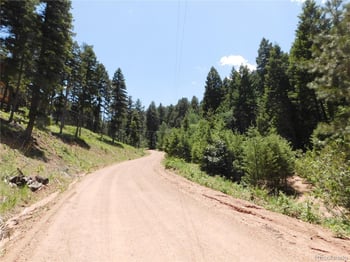 13175 Spruce Creek Cir, Larkspur, CO 80118