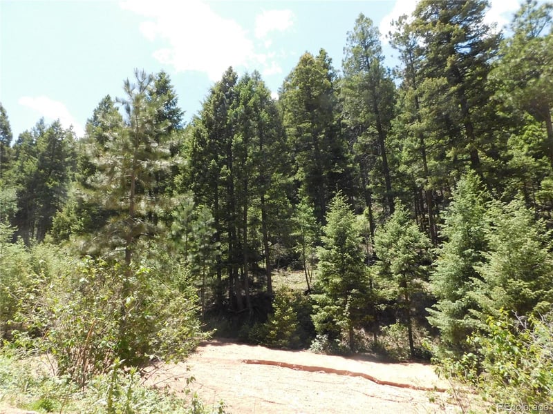 13175 Spruce Creek Cir, Larkspur, CO 80118