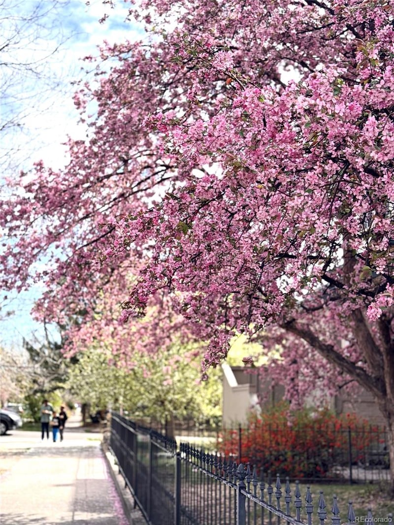 108 Byers Pl #202, Denver, CO 80223