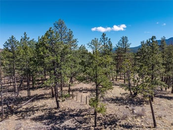 Lot 12a Bailey Est, Bailey, CO 80421