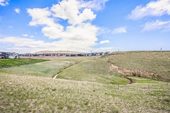 15654 Floyd Dr, Morrison, CO 80465