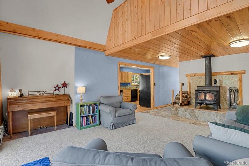 881 Trail Creek Rd, Lake George, CO 80827