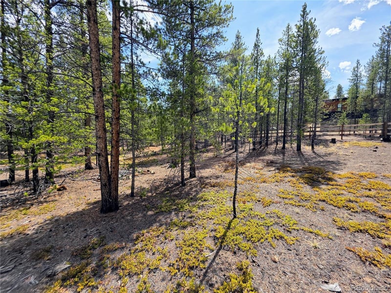 322 Fir Dr, Twin Lakes, CO 81251