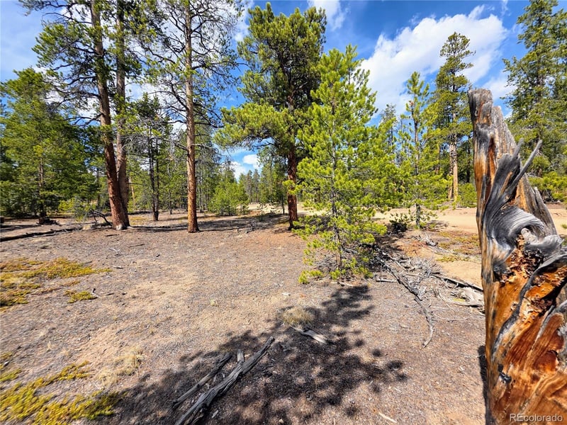 322 Fir Dr, Twin Lakes, CO 81251