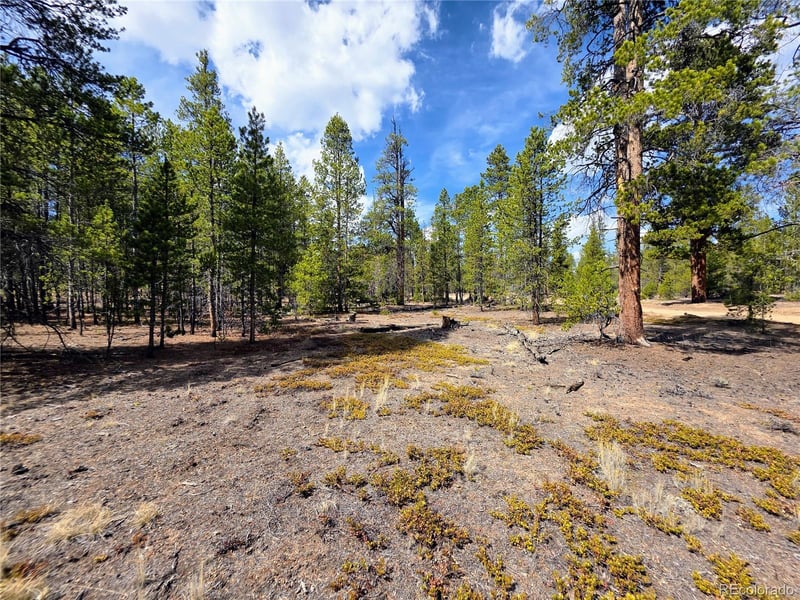 322 Fir Dr, Twin Lakes, CO 81251