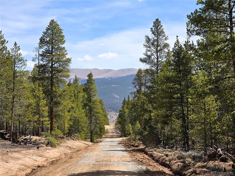 322 Fir Dr, Twin Lakes, CO 81251