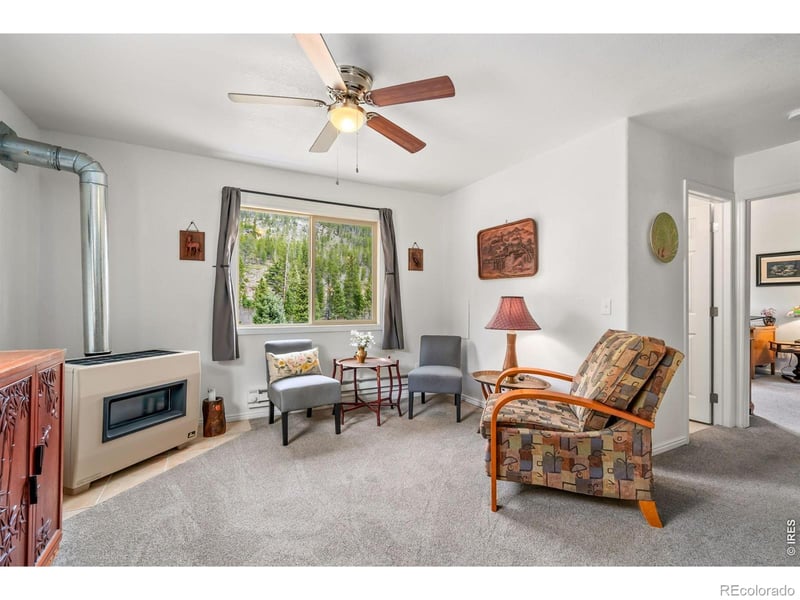 236 Mescalero Dr, Red Feather Lakes, CO 80545