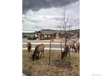 1728 Continental Peaks Cir, Estes Park, CO 80517