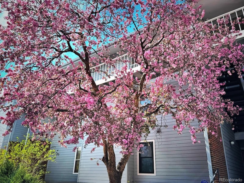 3121 Tamarac Dr #208H, Denver, CO 80231