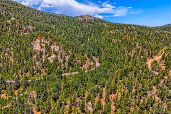 29821 Kings Valley E, Conifer, CO 80433